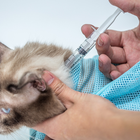 Cat Bathing Bag for Nail Clipping and Ear Cleaning