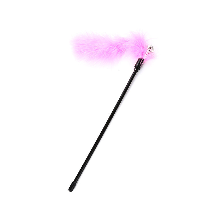 Cat Teaser Toy with Turkey Feather and Bell
