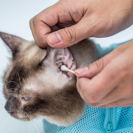 Cat Bathing Bag for Nail Clipping and Ear Cleaning