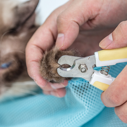 Cat Bathing Bag for Nail Clipping and Ear Cleaning