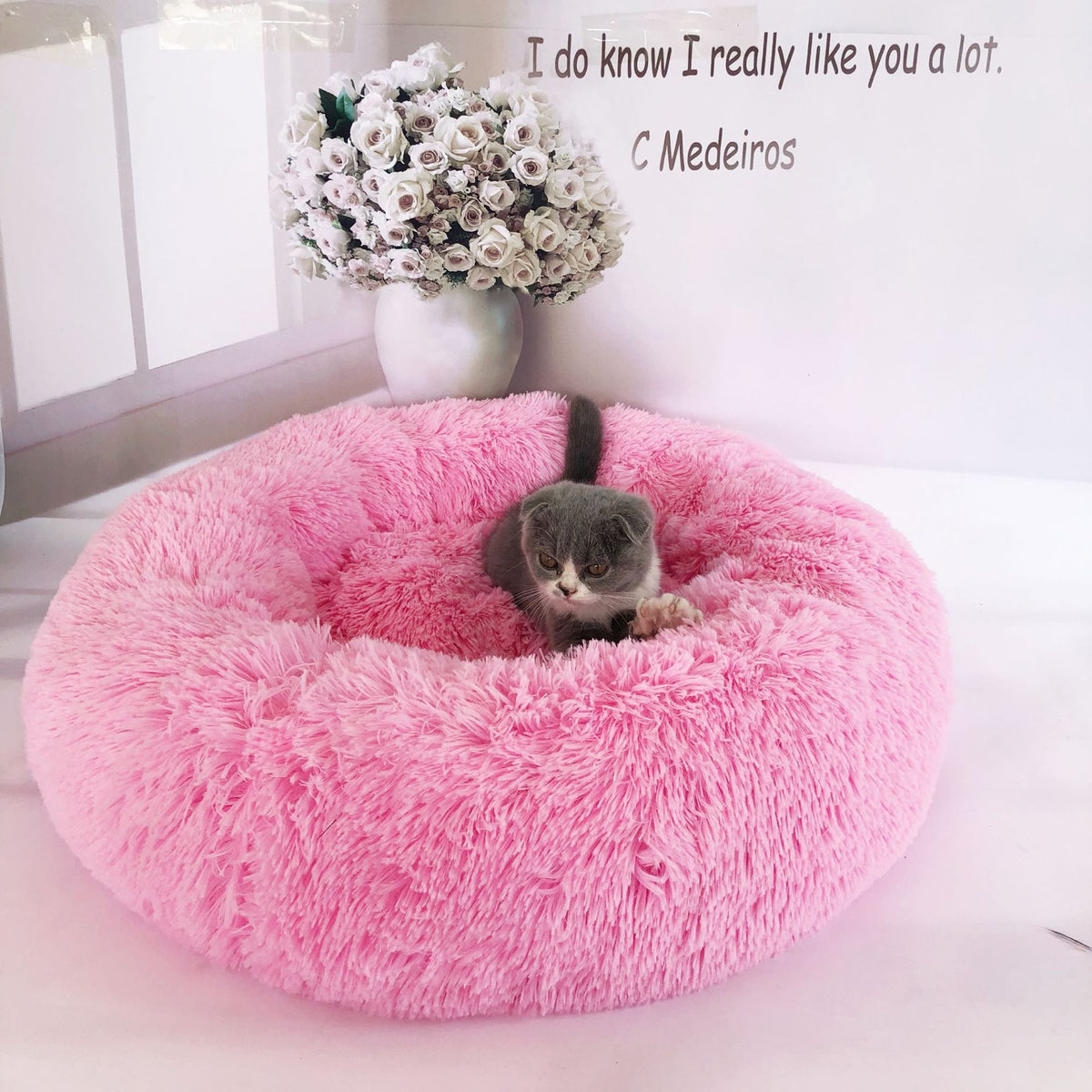 Washable Pet Bed